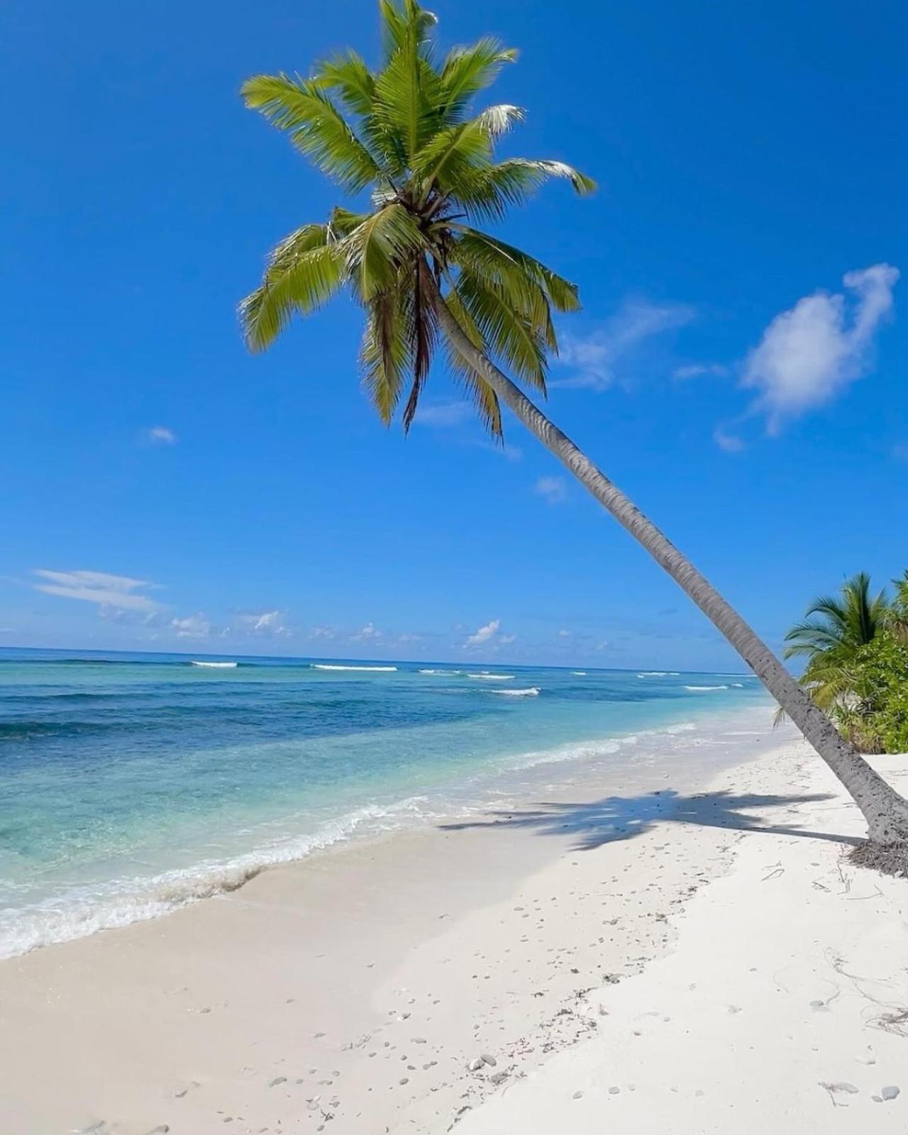Charming Holiday Lodge- Addu Atoll Meedhoo, Maldives Exterior foto